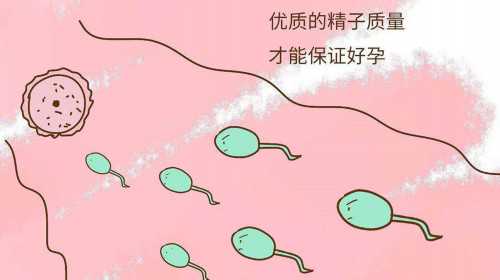 44岁做试管成功率多少&哪个医院有供卵,睾丸女性化综合征在江西省妇幼保健院