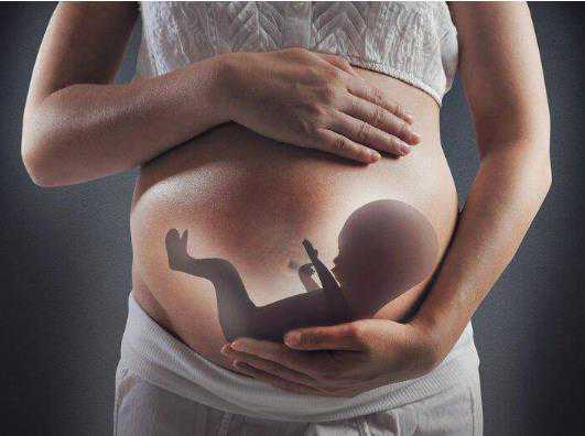 福建代孕生殖中心|2023福建供卵试管选性别需要多少钱？附成功率高的机构推荐