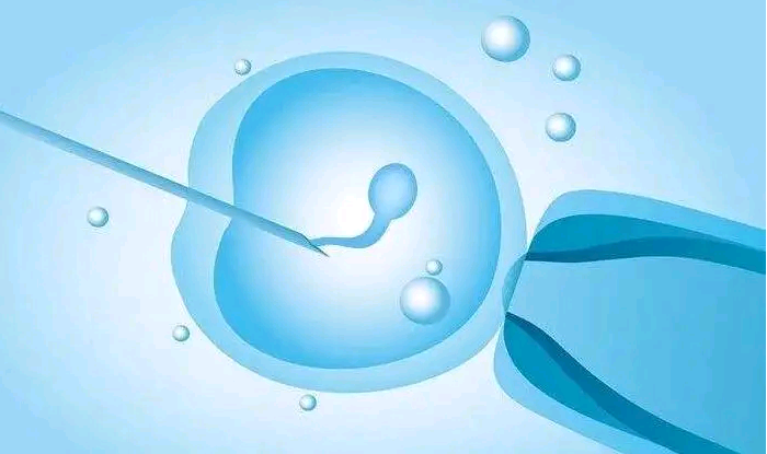 选择性别的助孕方式&试管婴儿代妈