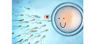 汉中哪里代孕人最多_试管移植囊胚比移植胚胎成功率高多少(试管婴儿囊胚移植