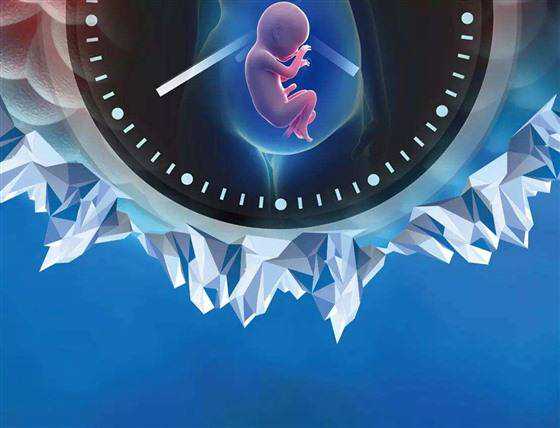 宣武代孕哪里医院较好_试管婴儿技术生出来的宝宝畸形率会比正常生育出生的