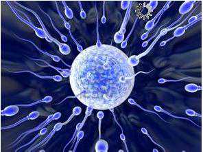 思茅玛丽塔助孕代孕套餐_思茅代孕个人电话_试管婴儿两次取卵需要间隔多长时