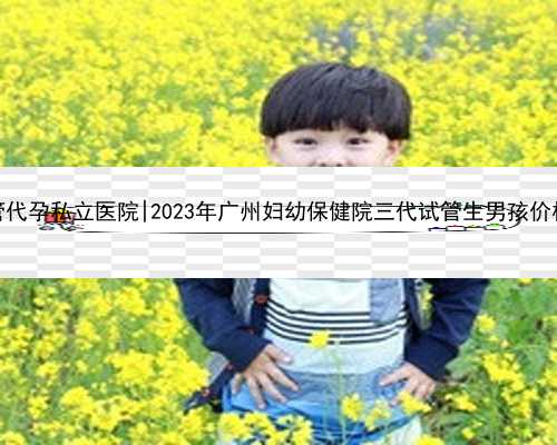 广州试管代孕私立医院|2023年广州妇幼保健院三代试管生男孩价格多少？