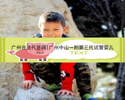 广州合法代怀网|广州中山一附第三代试管婴儿